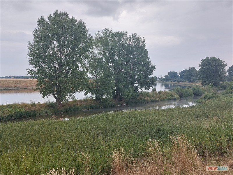 Sommerausfahrt_2022_03