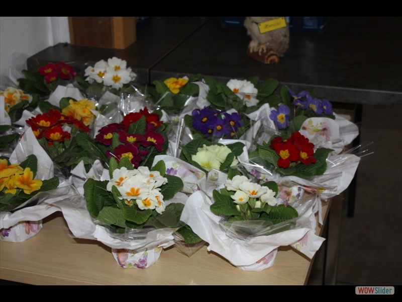 Vergleichsschiessen2025_003